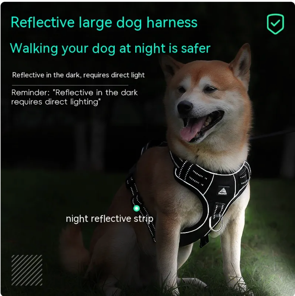 Arnés Faro para Perros